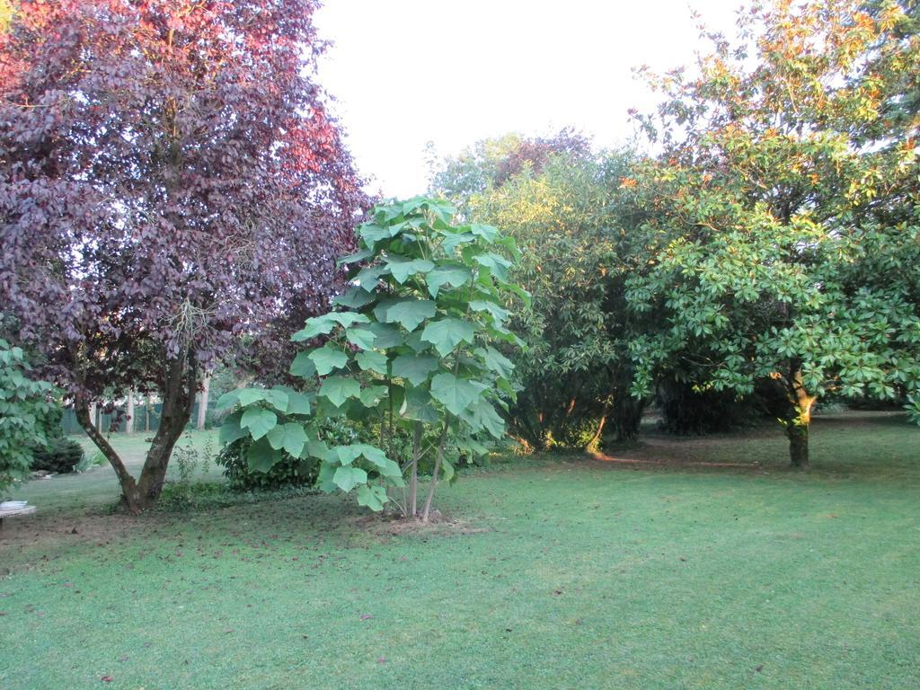 Bed and Breakfast Les Ecureuils Bougligny Exterior foto
