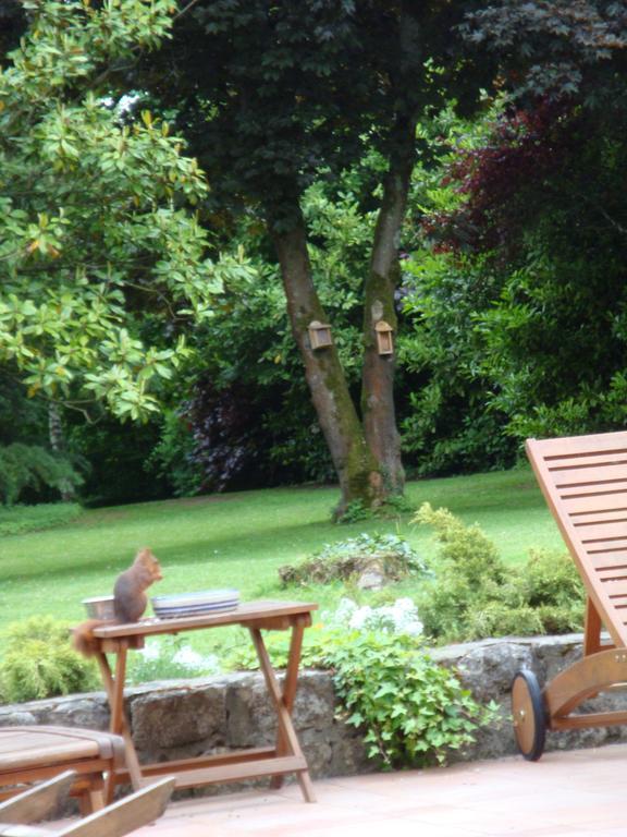 Bed and Breakfast Les Ecureuils Bougligny Exterior foto