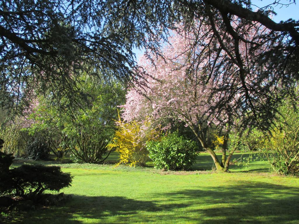 Bed and Breakfast Les Ecureuils Bougligny Exterior foto